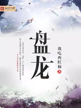 盘龙全文免费阅读